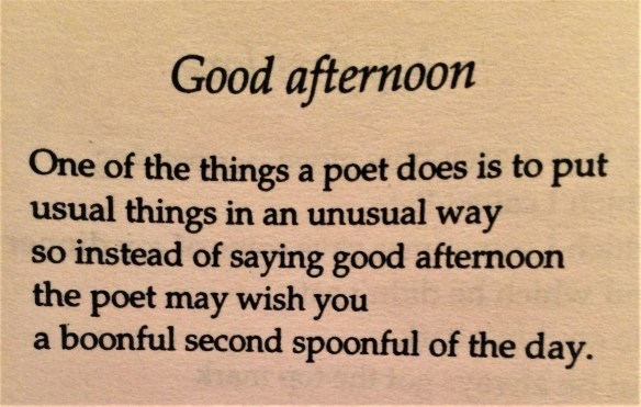 Good afternoon by John Hegley