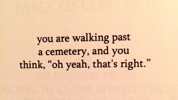 Untitled by Sam Pink